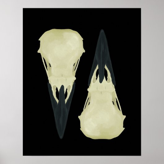 Raven Skulls Poster (Voorkant)