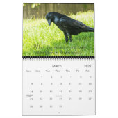Raven Spirit Messages 2016 Calender Kalender (Mar 2027)