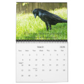 Raven Spirit Messages 2016 Calender Kalender (Mar 2026)