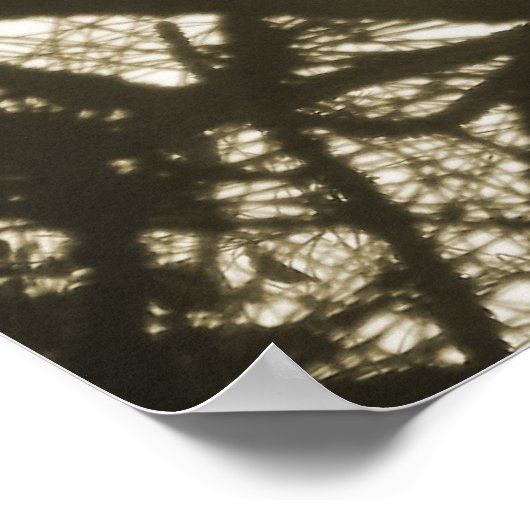 Raven Steampunk Poster (Hoek)