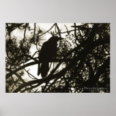 Raven Steampunk Poster (Voorkant)