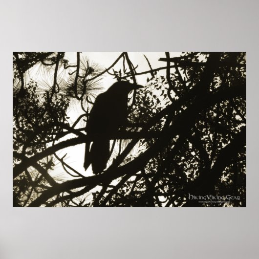 Raven Steampunk Poster (Voorkant)