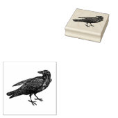 Raven | Stempel (Gestempeld)