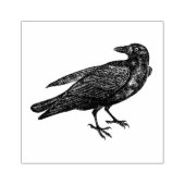 Raven | Stempel (Afrduk)