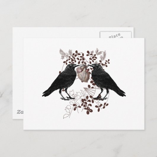 Raven strijden om het hart briefkaart (Voorkant / Achterkant)