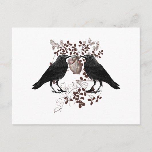Raven strijden om het hart briefkaart (Voorkant)