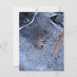 Raven Totem, Black Bird Corvid  Briefkaart