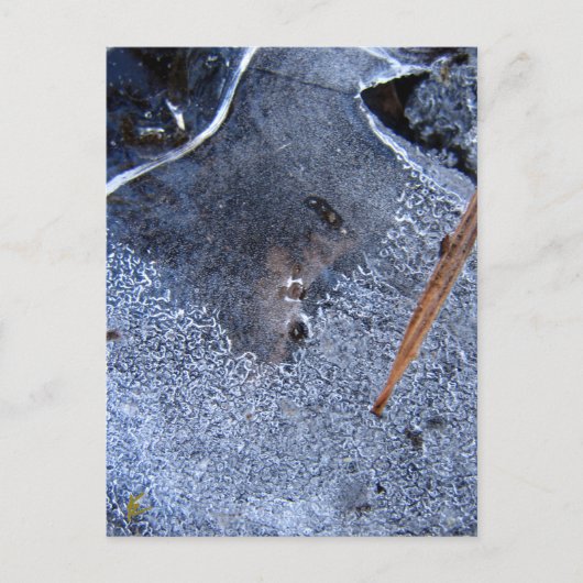 Raven Totem, Black Bird Corvid Briefkaart (Voorkant)