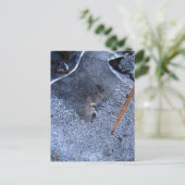 Raven Totem, Zwarte Vogel Corvid Briefkaart (Staand voorkant)