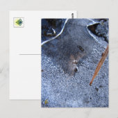 Raven Totem, Zwarte Vogel Corvid Briefkaart (Voorkant / Achterkant)