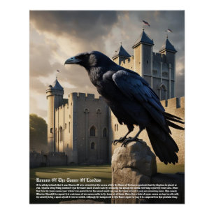 Raven Tower of London Perfect Poster
