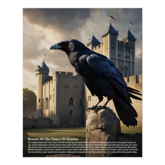 Raven Tower of London Perfect Poster (Voorkant)