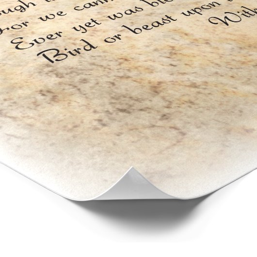 Raven van Edgar Allen Poe Poster (Hoek)