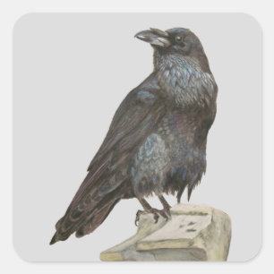 Raven Vierkante Sticker