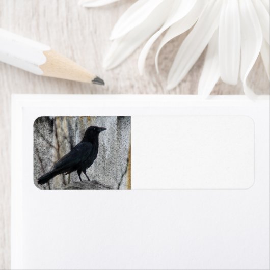 Raven Waiting Etiket (Insitu)