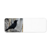 Raven Waiting Etiket (Voorkant)