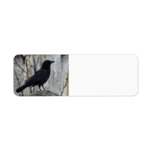 Raven Waiting Etiket