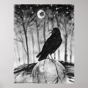 Raven (zwarte vogel) in bossen met maan en sterren poster