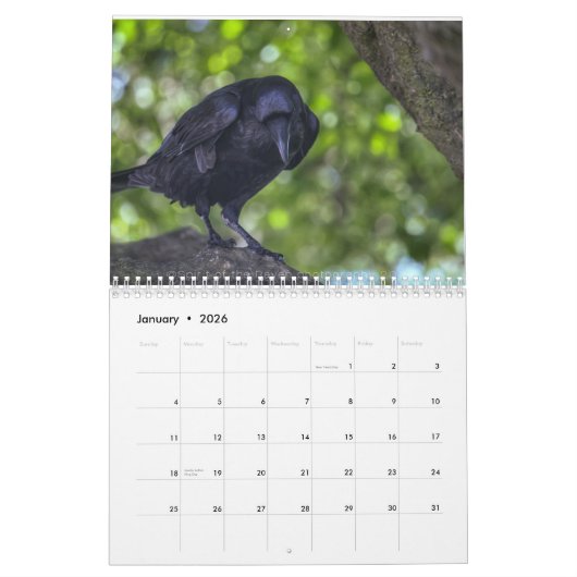 Ravenesque magical Bird 2018 kalendermaand Kalender (Jan 2026)
