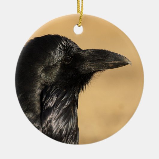 ravenprofiel keramisch ornament (Voorkant)
