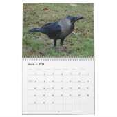 Ravens 2016 kalender voor Kroegen, Magpies en Rave (Mar 2026)