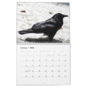 Ravens 2016 kalender voor Kroegen, Magpies en Rave (Jan 2026)