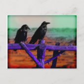 Ravens Briefkaart (Voorkant)