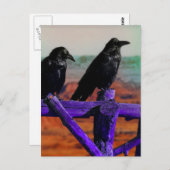 Ravens Briefkaart (Voorkant / Achterkant)