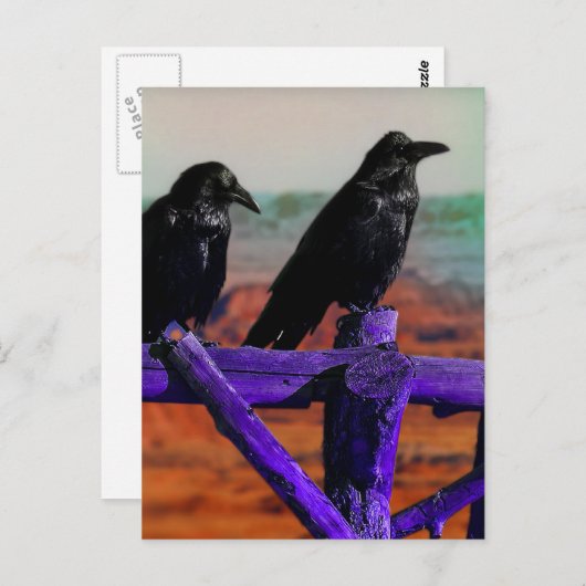 Ravens Briefkaart (Voorkant / Achterkant)
