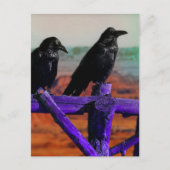 Ravens Briefkaart (Voorkant)