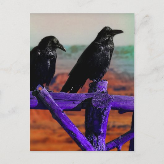 Ravens Briefkaart (Voorkant)