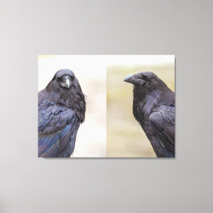 Ravens Canvas Afdruk
