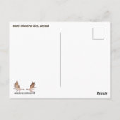 Raven's Roost Pub Wick Schotland Briefkaart (Achterkant)
