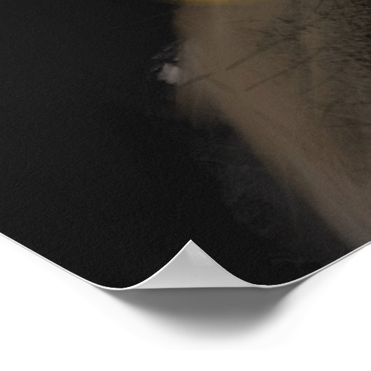 Raven's Rune: Aegishjalmur magie op zwarte steen Poster (Hoek)