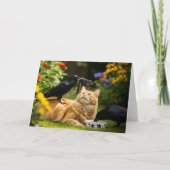 Ravens spelen met vrienden van Cat Feathers Kaart (Voorkant)