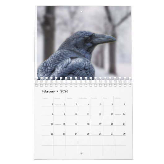 Ravens van de lichte Kalender 2022 (Feb 2026)