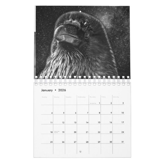 Ravens van de lichte Kalender 2022 (Jan 2026)