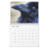 Ravens van de lichte Kalender 2022 (Mar 2026)