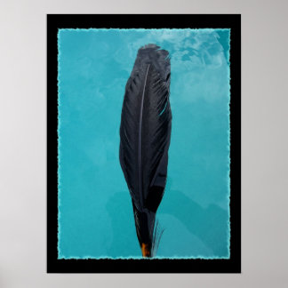 Raven's Veer Poster