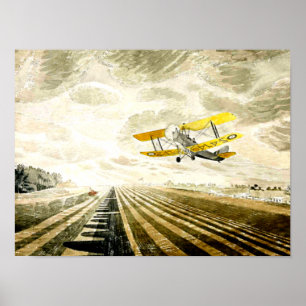 Ravilieus, beroemd schilderij Tiger Moth Poster