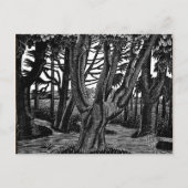 Ravilious - Bosgebied buiten Florence Briefkaart (Voorkant)