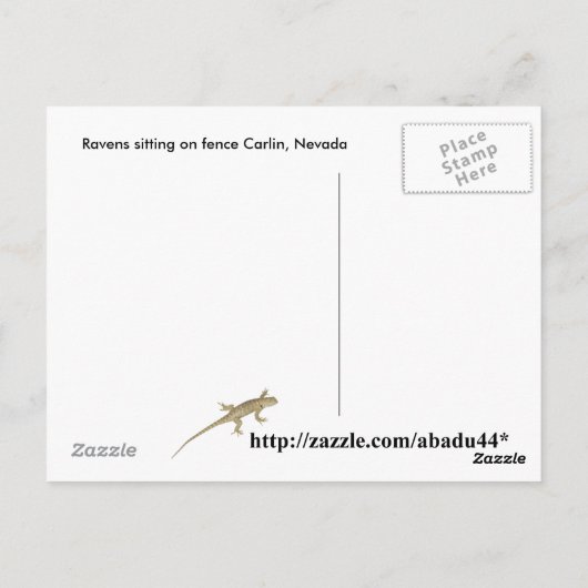 ravinnen die op hek zitten briefkaart (Achterkant)