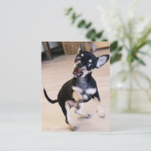 Rawr Briefkaart (Staand voorkant)