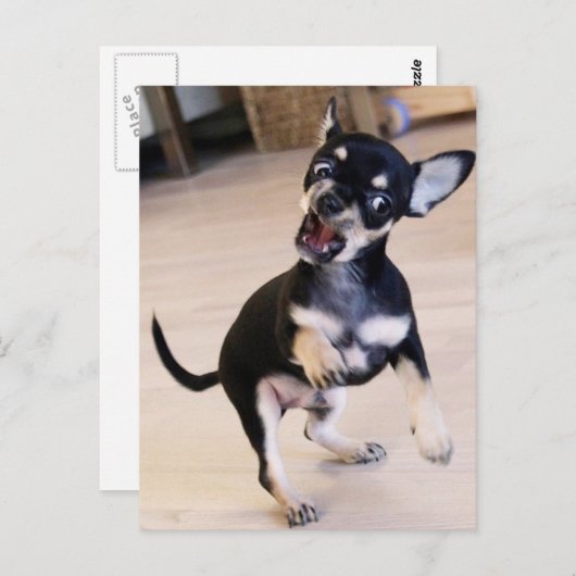 Rawr Briefkaart (Voorkant / Achterkant)