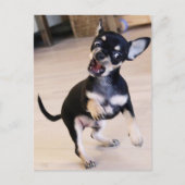 Rawr Briefkaart (Voorkant)