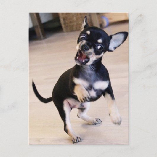 Rawr Briefkaart (Voorkant)