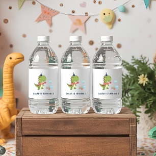 RAWR-Some Dinosaur Winter Birthday Waterfles Etiket