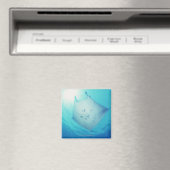 Ray Magneet (Insitu (Vaatwasser))