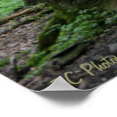 Ray of Hope 36 x 24 Poster (Hoek)