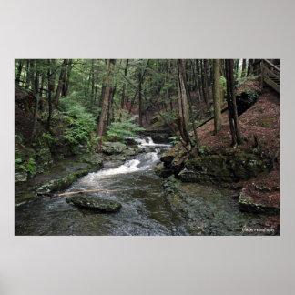 Raymondvaardigheid River in Poconos print 040